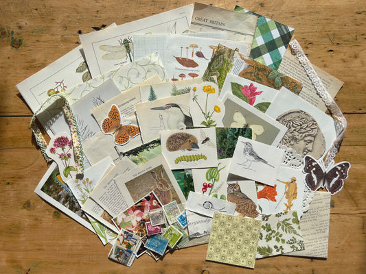 Ephemera Bundle - Set of 50