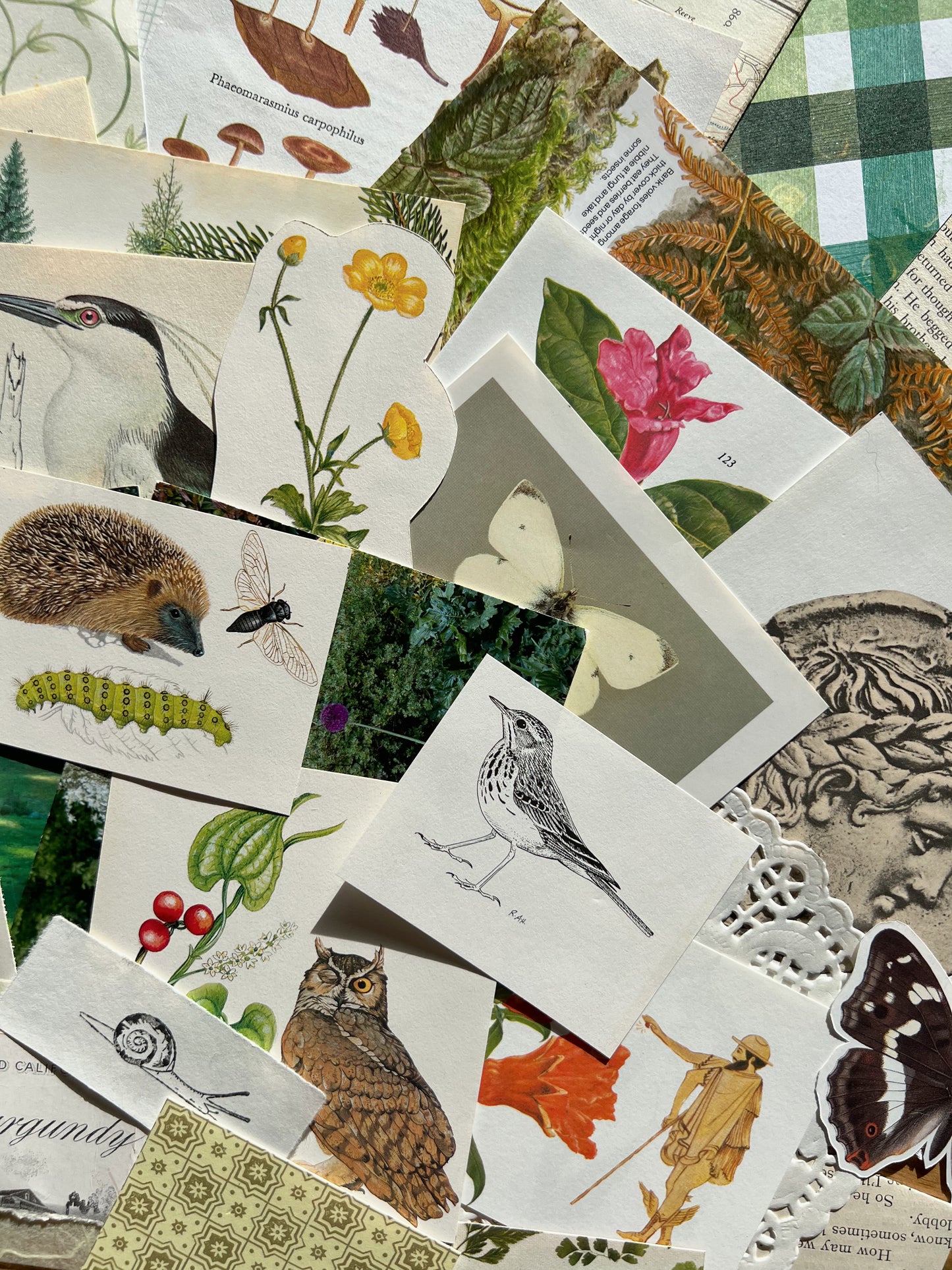 Ephemera Bundle - Set of 50