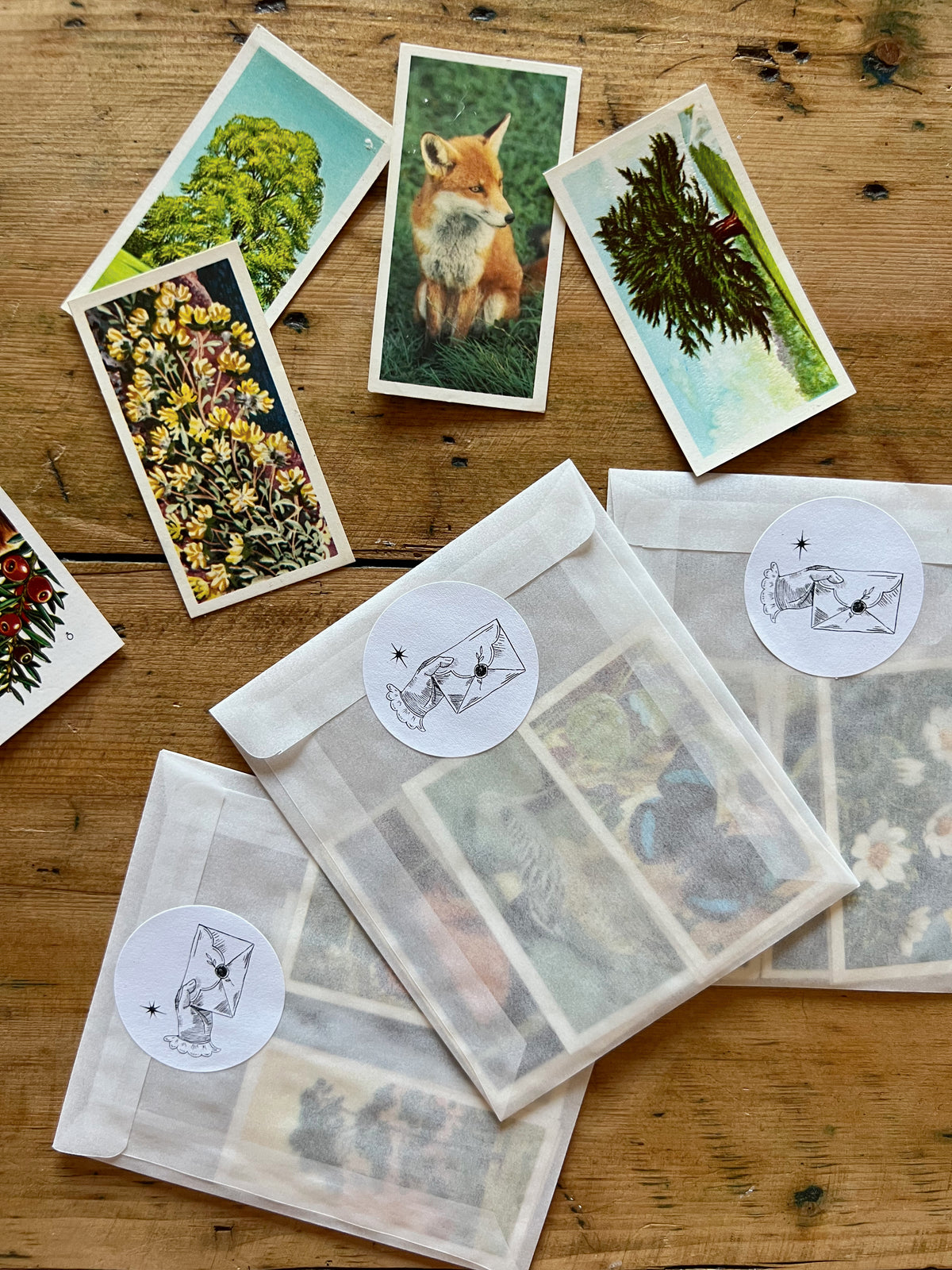 Vintage Nature Tea Card Collection