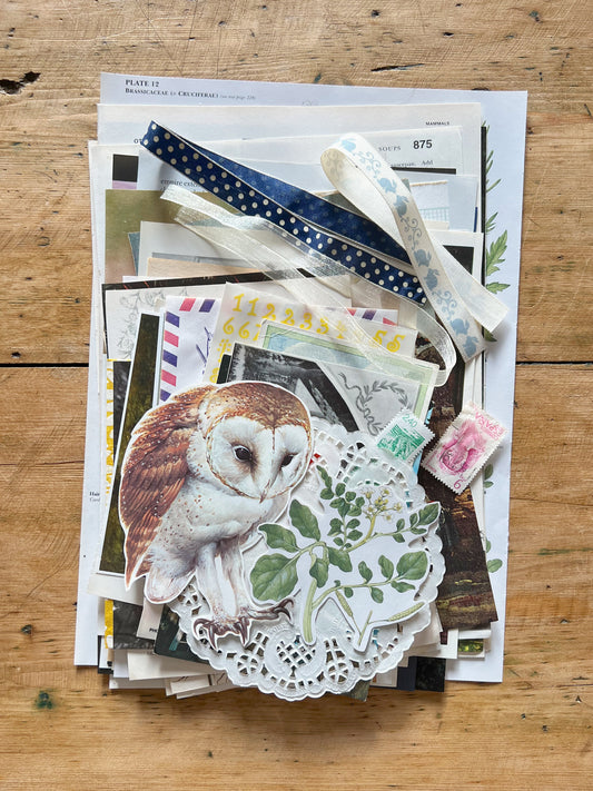 Ephemera Bundle - Set of 75