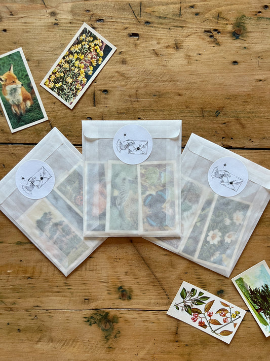 Vintage Nature Tea Card Collection