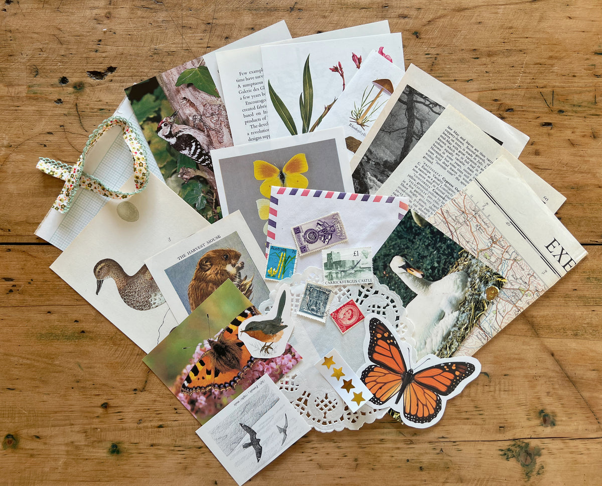 Charmed Letters Ephemera Bundle - Set of 25 – The Charmed Letter