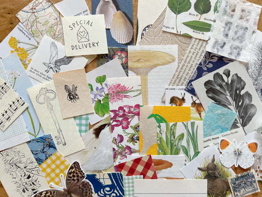 Bits & Bobs Paper Pack