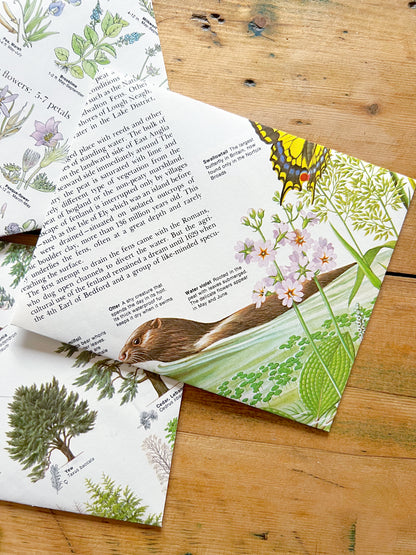Set of 4 Handmade Upcycled Envelopes