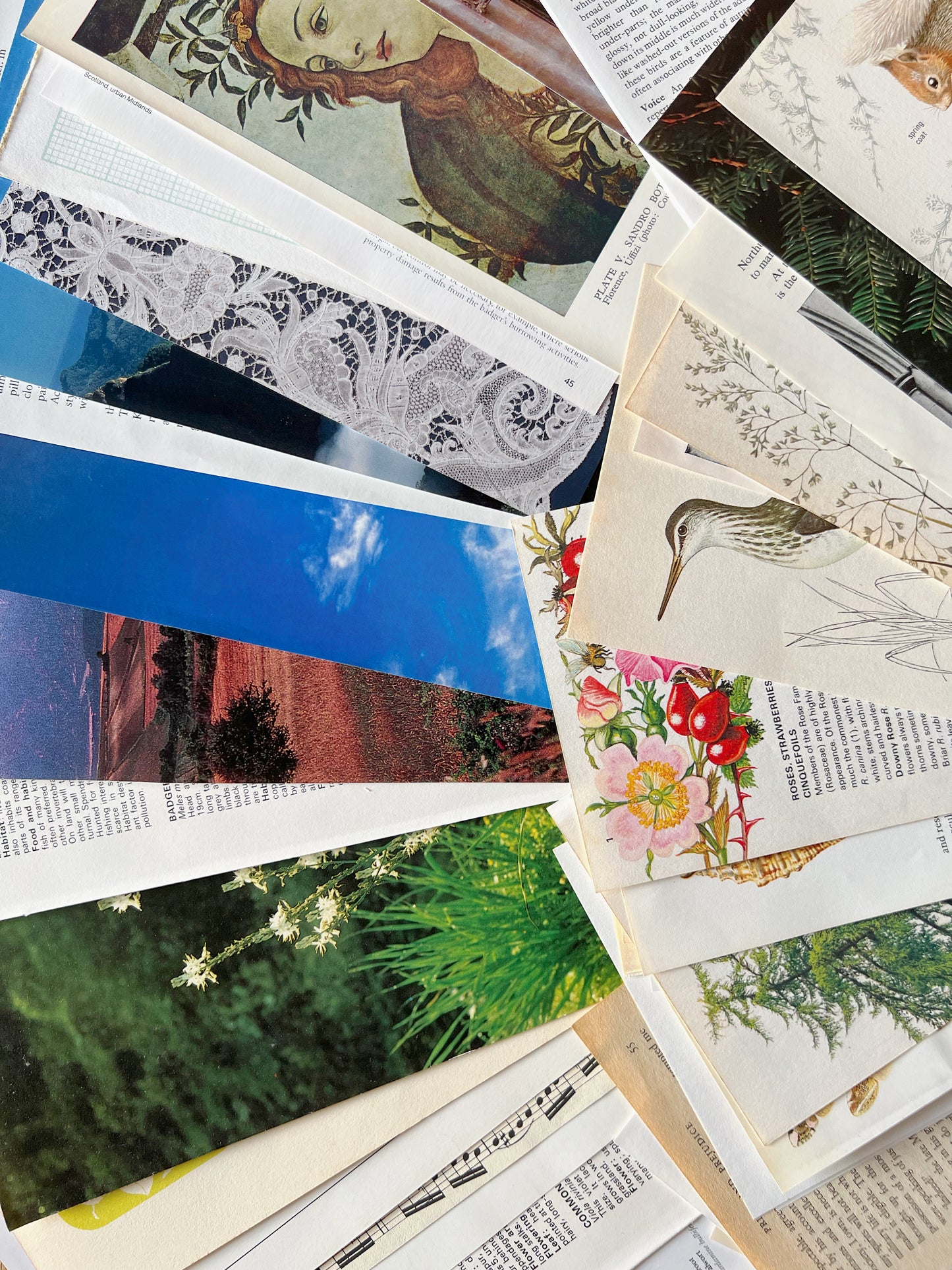 Ephemera Bundle - Set of 75