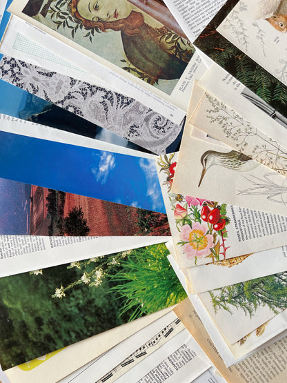 Ephemera Bundle - Set of 75