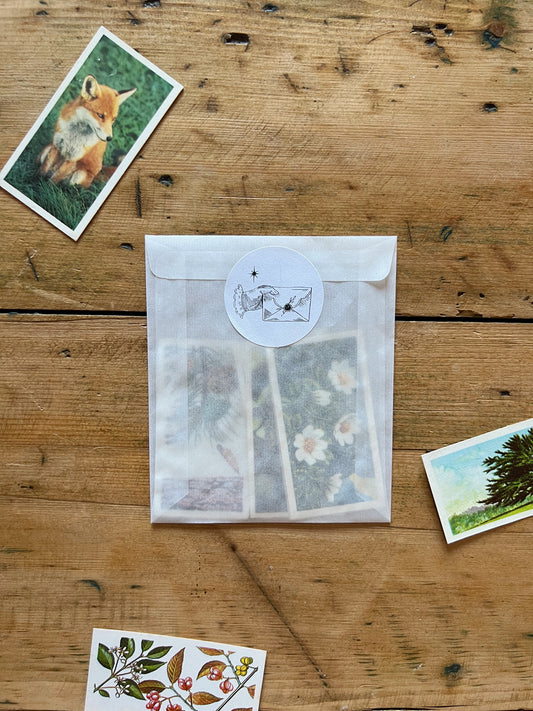 Vintage Nature Tea Card Collection
